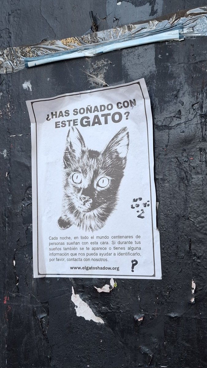 rohetfield's tweet photo. Encontré este cartel en la calle y como no existía esa página me fui a buscar en ig y salió esto lloro https://t.co/a5uBowqMT9