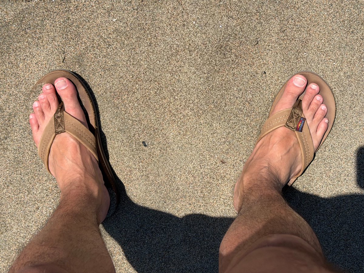 solecoast_'s tweet photo. Dawg days of summer ⛱️ https://t.co/5QdIt42neo