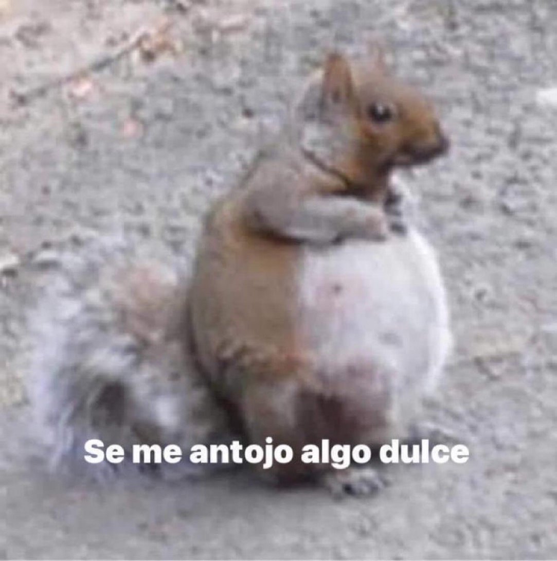 Guarromantico_'s tweet photo. Yo después de comer. https://t.co/HyTmWXR4ML
