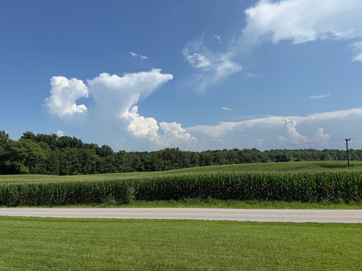 bugg_wayne's tweet photo. @Wayne_C_Hart @Stacey_B_May pic of storm clouds from SE Henderson County https://t.co/jgN5g5235I
