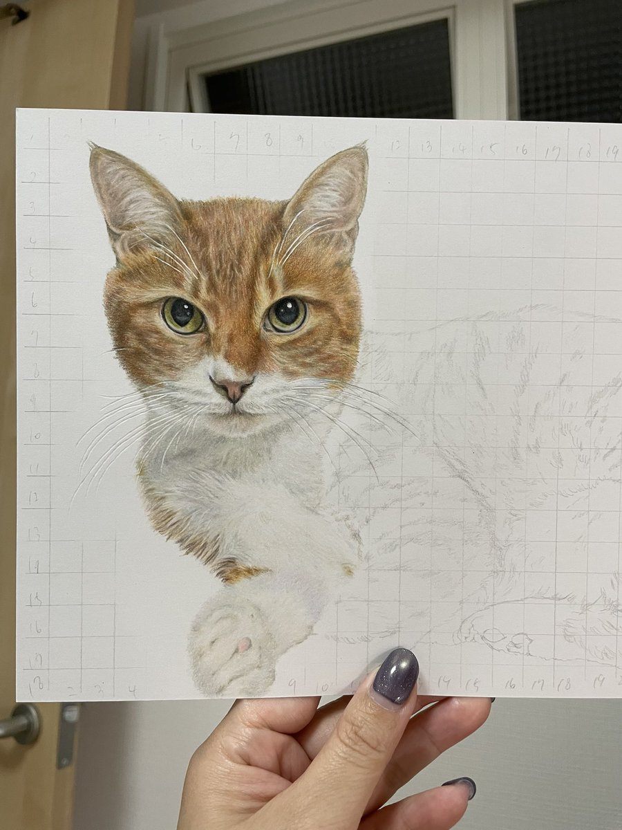 wip 描く時間が取れず悶々する日々 #ペットの似顔絵 #色鉛筆画