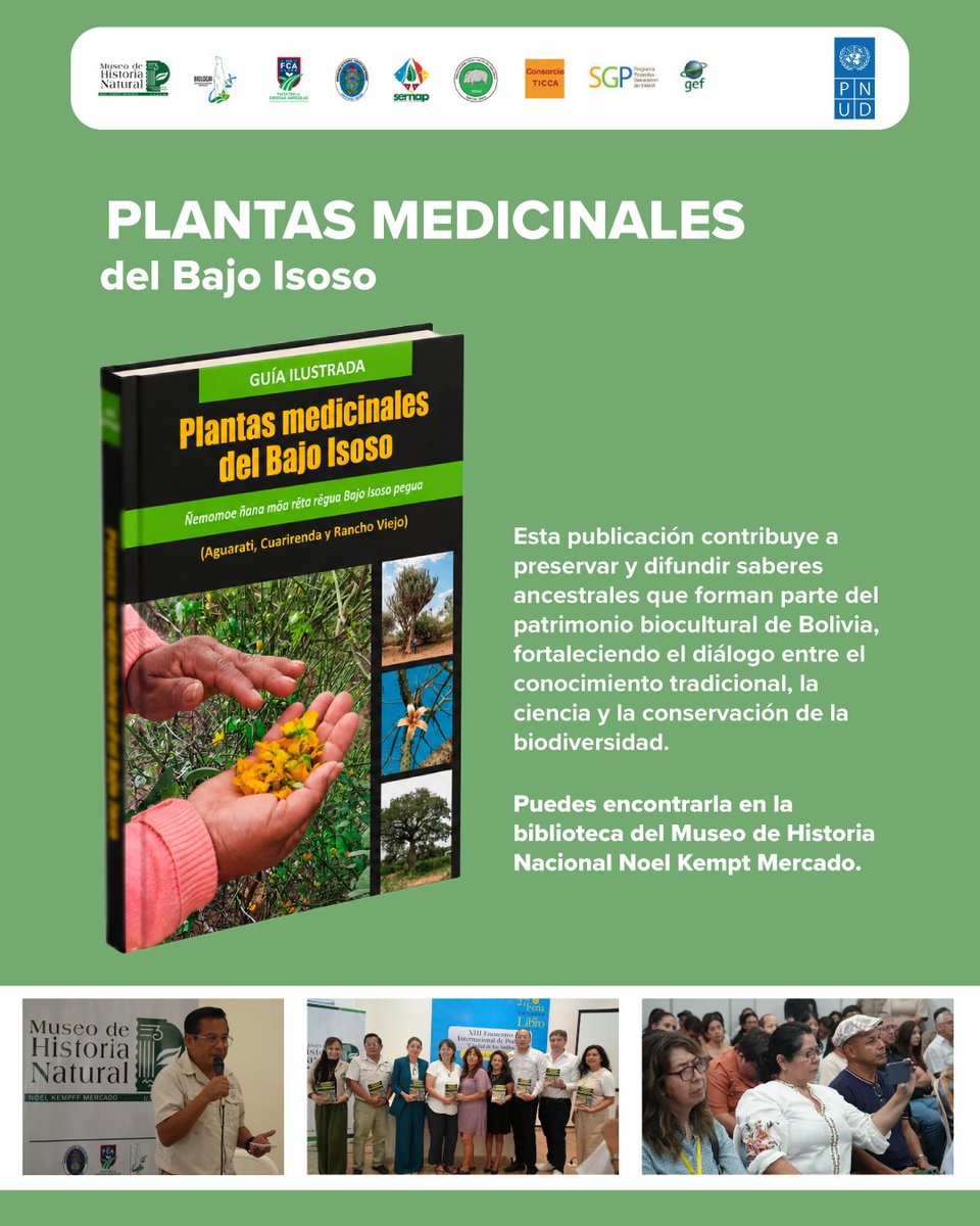 PNUDLAC's tweet photo. Más de 120 comunarios guaraníes compartieron sus saberes para dar vida a la guía ilustrada Plantas Medicinales del Bajo Isoso, conectando tradición y ciencia.

Iniciativa @theGEF @PNUDBolivia @MuseoNKM 🔗 https://t.co/kEzf296Ly0 https://t.co/Plo2RmcZPP