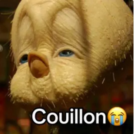 shibaleroi's tweet photo. @Ayb_142 @ThysmaChill Tu as décidé de miser sur mujin ? Ayb Cmon man 😭 https://t.co/YJktzGOeeS