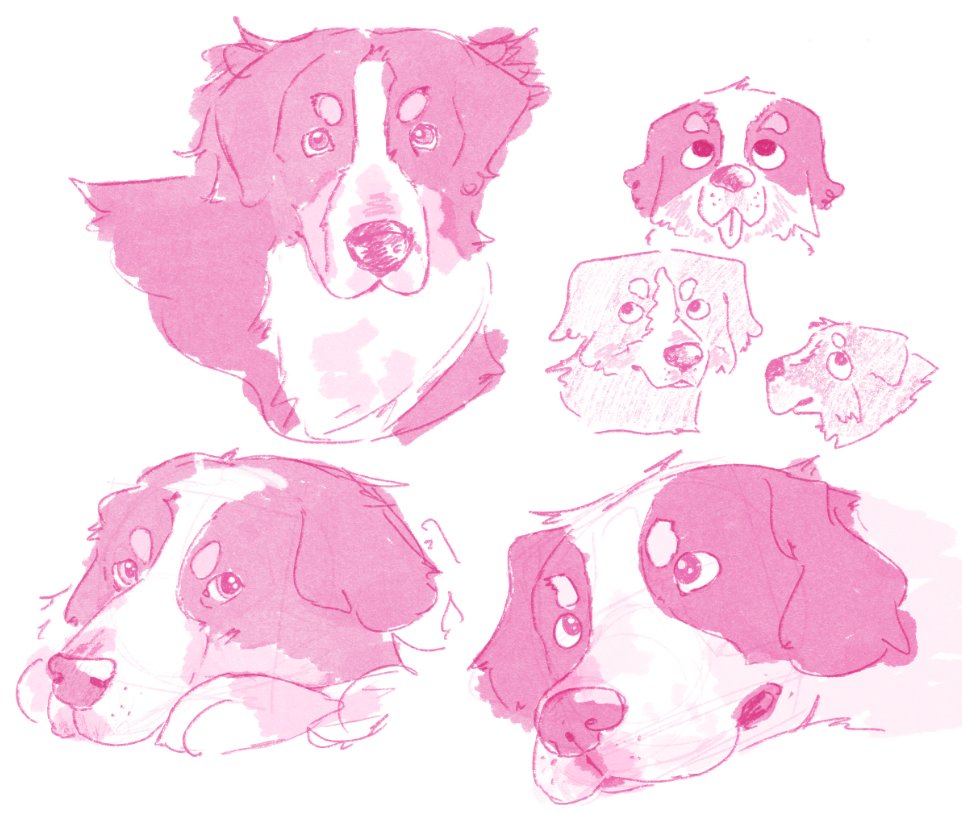 venusinfursuit's tweet photo. I drew my friend's dog! https://t.co/Ox24NKogM9