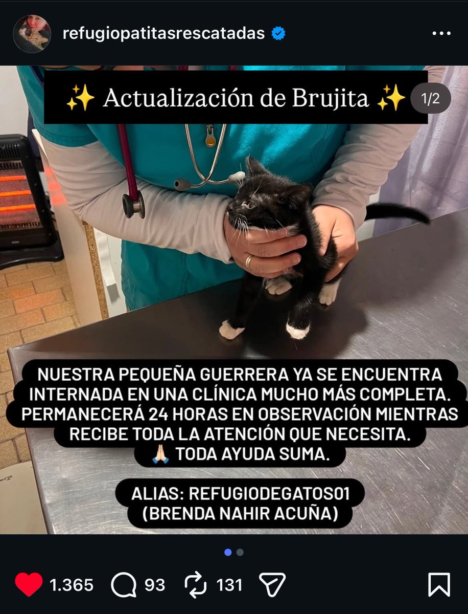 talvezsoyabril's tweet photo. les dejo actualización del caso por si alguien quiere ayudarla la gatita quedó internada 😭 https://t.co/ZZ9Wj3cigF