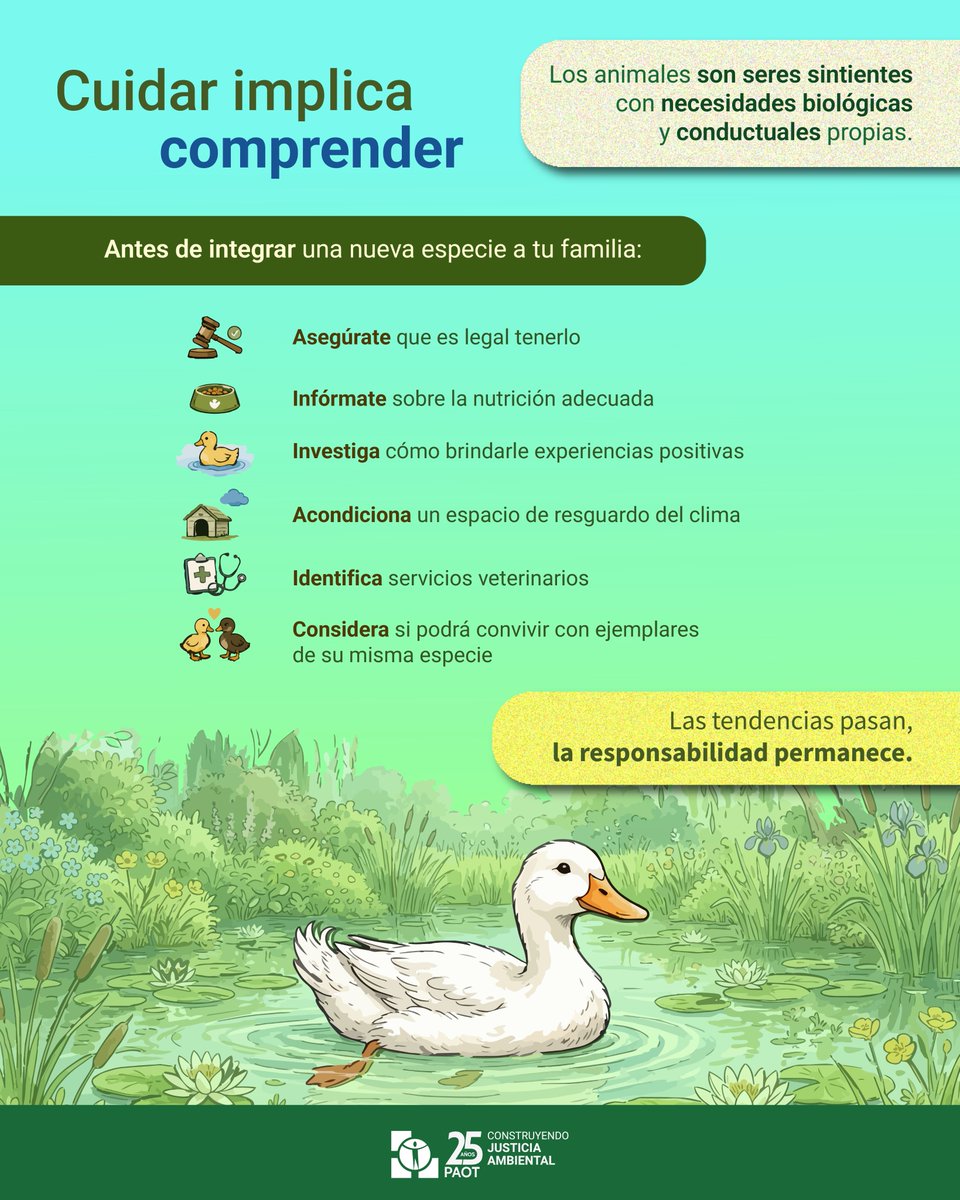 PAOTmx's tweet photo. Las tendencias pasan, la responsabilidad permanece
Antes de integrar un animal de compañía a tu familia, infórmate sobre sus necesidades y el compromiso que implica su bienestar.
✔Alimentación adecuada
✔Espacio seguro
✔Atención veterinaria
✔Respeto a su comportamiento natural
#TenenciaResponsable #CDMX
