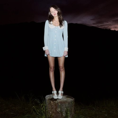 SpotifyLivies tweet picture