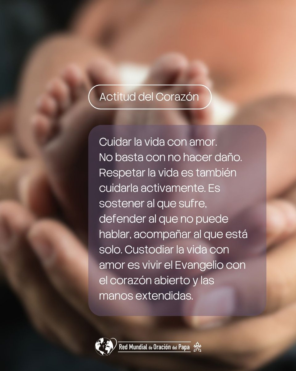 clicktopray_es's tweet photo. Al incorporar estas actitudes, transformas tu día a día a través de la oración y la acción por los desafíos de la humanidad.

#OremosJuntos, cambiemos el mundo. 🔗Conoce más aquí: https://t.co/0yv3XTm4UY

#VidaHumana #Dignidad #Respeto #Cuidado 
#ClickToPray #RedDeOracionDelPapa https://t.co/WZq6akuzxZ