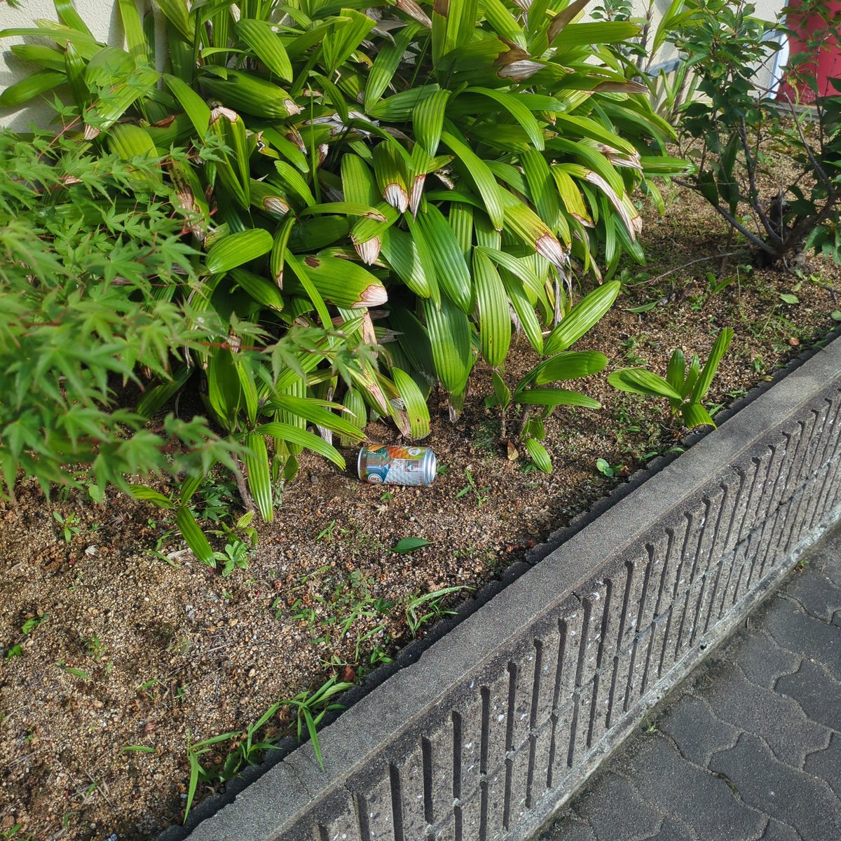 Gonchoi_'s tweet photo. たまに出没す？アホ
ひとん家にほるアホ https://t.co/szm42TxPRD