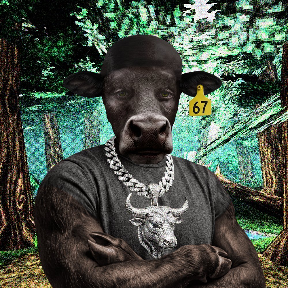 BBS_SOL's tweet photo. Every wallet deserves a Black Bull.

The question is...

Which one is yours?

$sol $ansem #nft https://t.co/Iuh3S5selM