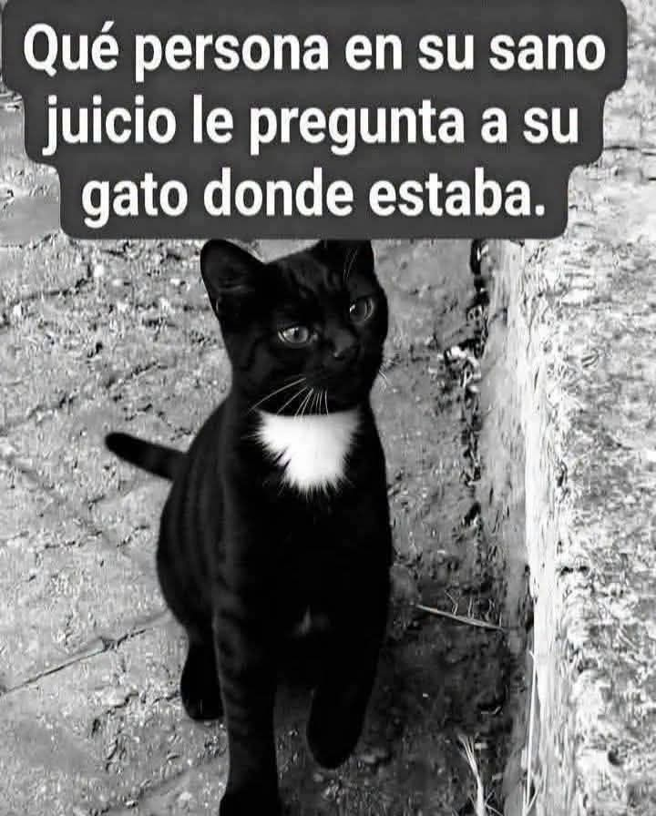 EnsedeCiencia's tweet photo. Todo mundo https://t.co/el6GDttoP2