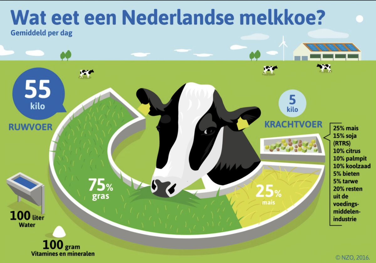 annemiekschinke's tweet photo. @martijnkatan Kaas komt van melkkoeien
Een groot aandeel van dagmenu van koe is gras, eigen teelt!
op veel graslanden kunnen andere gewassen niet groeien, perfect om door de koe eiwitten uit gras (dat kunnen mensen niet!) om te zetten in kaas en veel hoogwaardige stofjes in wei
#geendank https://t.co/bzJ6Rvgp10