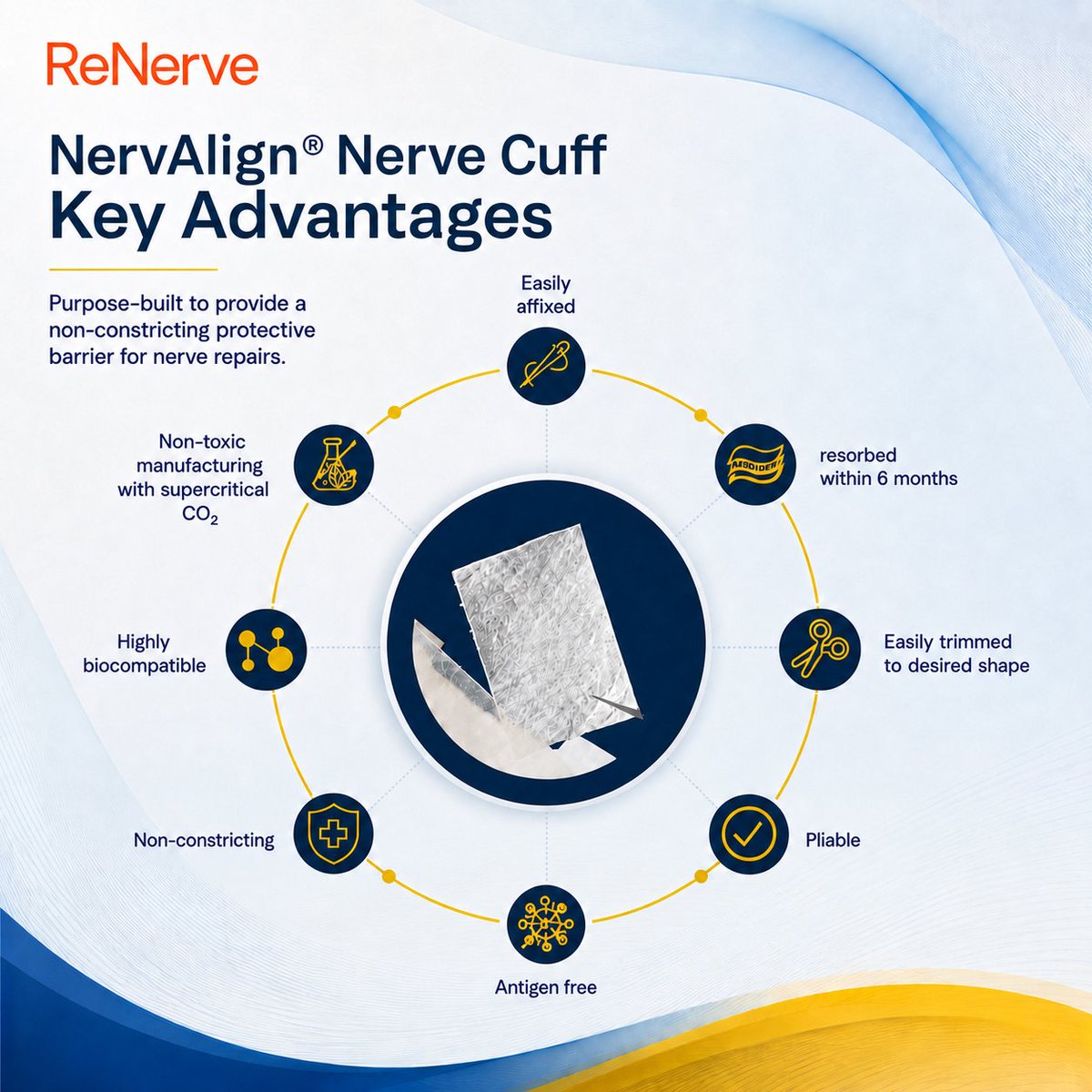 ReNerveLtd's tweet photo. When it comes to peripheral nerve repair, having the right product available at the right time matters. ReNerve's FDA-cleared NervAlign® Nerve Cuff is designed to protect repaired nerves while supporting the body's natural healing process. It is manufactured using the eCOO® method, which uses supercritical CO₂ to remove unwanted immunogenic material while maintaining the tissue’s native structure. NervAlign® is designed to minimise inflammatory responses and scarring while maintaining the tissue's natural structure.

NervAlign® is pliable, easy to trim and easily affixed. It is designed to support surgical handling while protecting the repair site.

It's another example of how thoughtful biomaterial design can support surgeons, hospitals and ultimately patient outcomes.

$RNV #ASX #PeripheralNerveRepair #HandSurgery #PlasticSurgery #Orthopaedics #MedTech