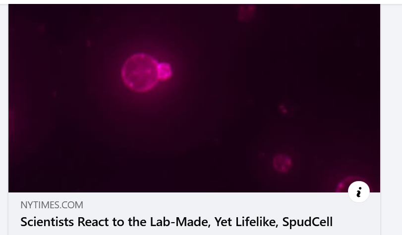 missresearcher's tweet photo. For now, most synthetic biologists agree that no artificial cell has yet passed that threshold between lifelike and alive — and SpudCell’s originators do not claim to have created life, either. (1)
#SpudCell
#SyntheticCell
#Science
Science https://t.co/vKiKHEBtxr