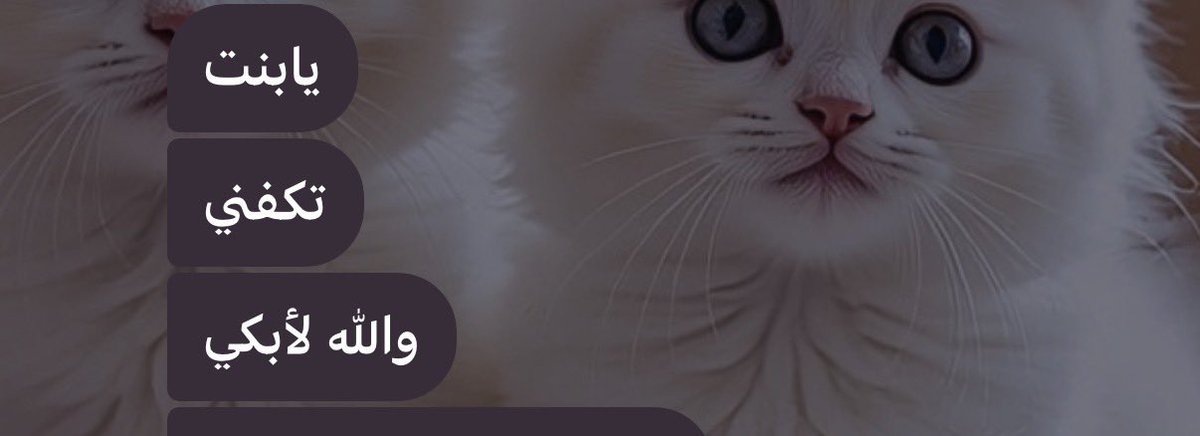 كابوس tweet media