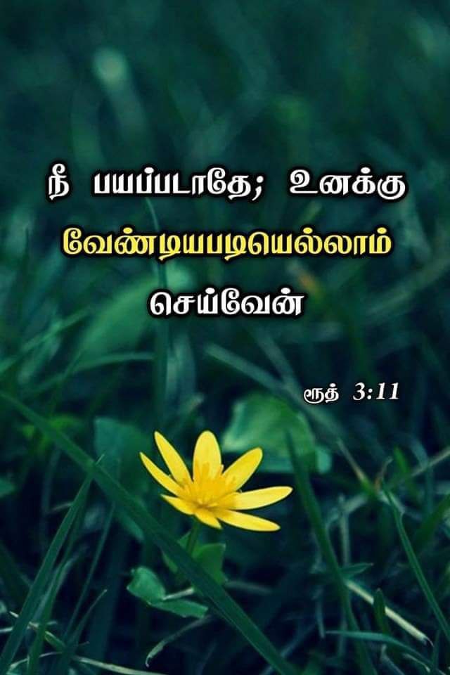 Gospels18's tweet photo. இன்றைய வேத வசனம் 📖👼 July03 #GospelsEverywhere #bible #todaysbibleverses #இன்றையவேதவசனம் #July03
இந்த வசனம் உங்கள் மனதிற்கு ஆறுதல் அளித்ததா? இது போன்ற தினசரி இறைவார்த்தைகளைப் பெற எங்களைப் Follow செய்யுங்கள். உங்கள் நண்பர்களுக்கும் பகிர்ந்து ஆசீர்வாதமாக இருங்கள்! https://t.co/9zg2JbXVgJ