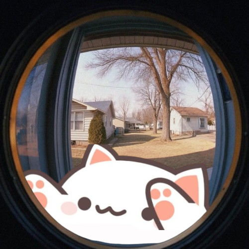 BongoCatMemes's tweet photo. https://t.co/zxRrUh6PY7