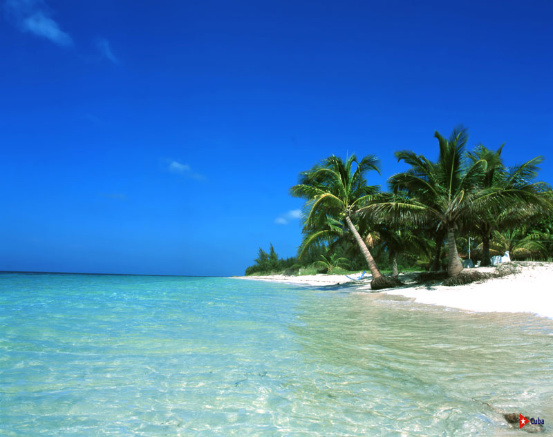 MinturCuba's tweet photo. ✨Cayo Levisa es un paraíso en miniatura: apenas 2.5 km² rodeados de mar turquesa y una playa de 2 500 metros que parece salida de una postal. ✨ Ideal para quienes buscan naturaleza pura y tranquilidad absoluta. 📸😎
#CubaUnica #Cubatravel https://t.co/ObaYeIPioi