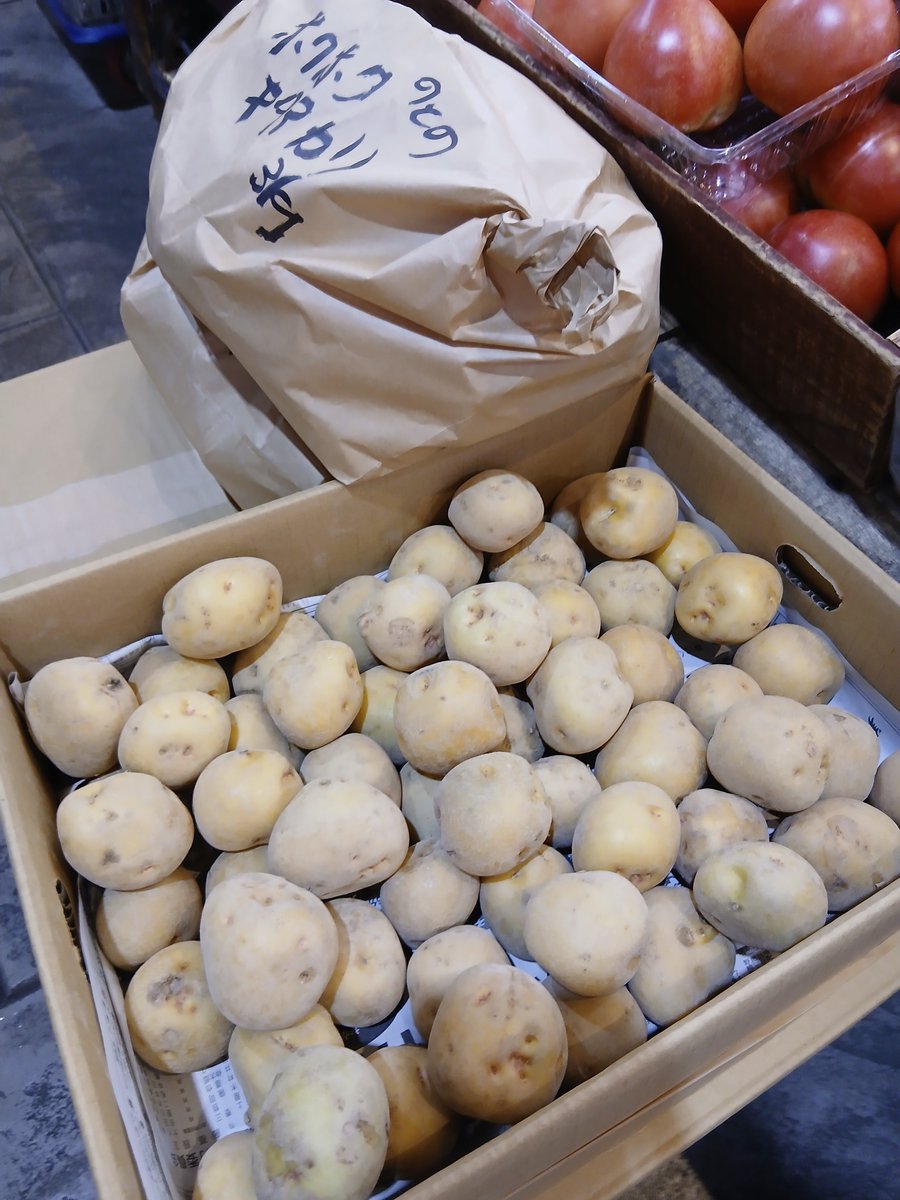 vege_fru's tweet photo. 地物のキタアカリの小さめがお買い得　にっころがしに良さそうな一口サイズ　栗のようなホクホク系品種なので、加熱してバター落とせば箸が止まらない　
能登からは甘長しし唐、おつまみピーマンやトウモロコシ
昨夜ウメの発酵レシピをやってたおかげで朝から梅をお買い求めの方も多い
偶然見といて吉 https://t.co/gr0x7bX3SA