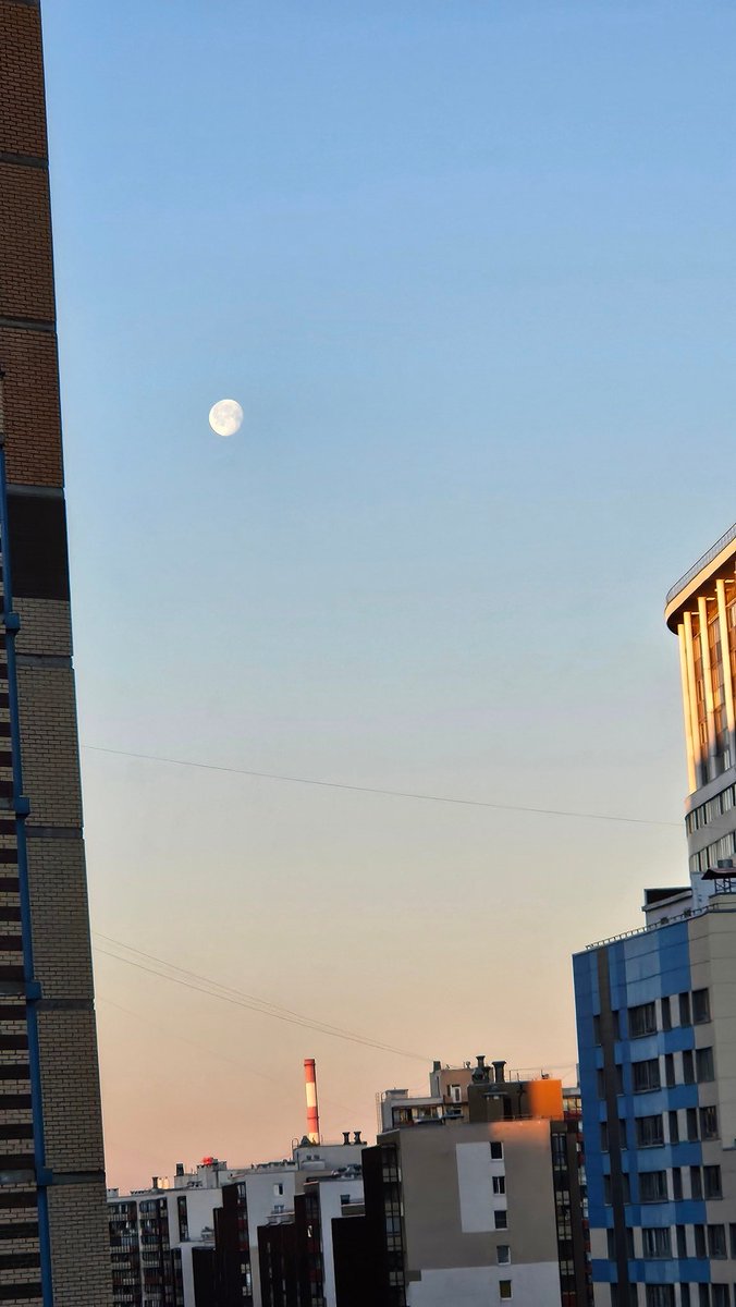 REiyoko's tweet photo. Проснуться в четыре утра, потому что досмотрел все крутые сны этой ночи https://t.co/sdKnLxG8jC