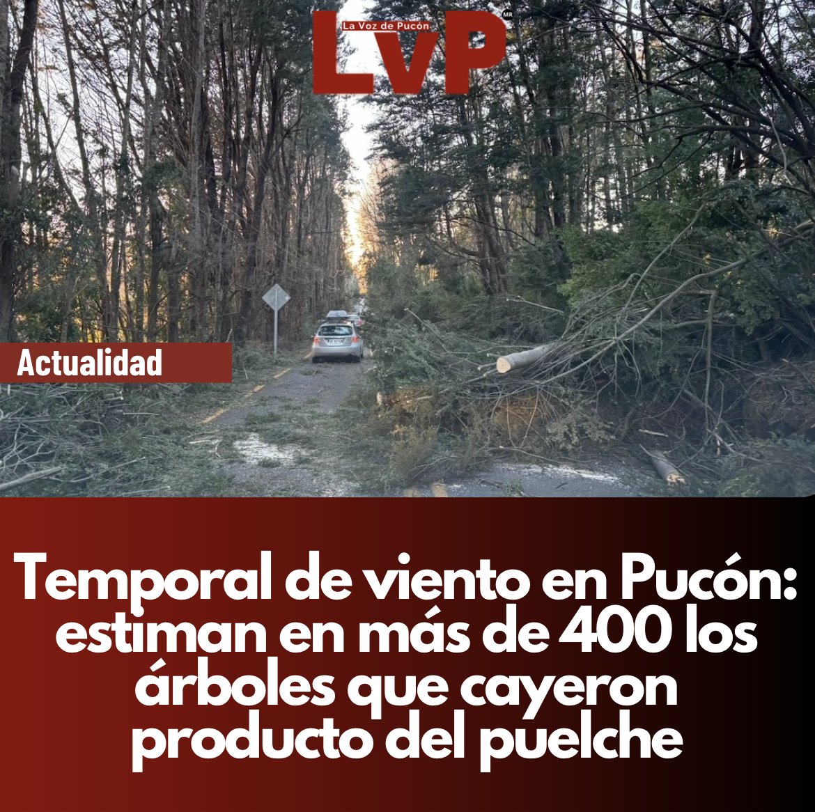 LaVozDePucon's tweet photo. Temporal de viento en #Pucón: estiman en más de 400 los árboles que cayeron producto del puelche
https://t.co/kfOm32KVpM https://t.co/HotqK2U55G