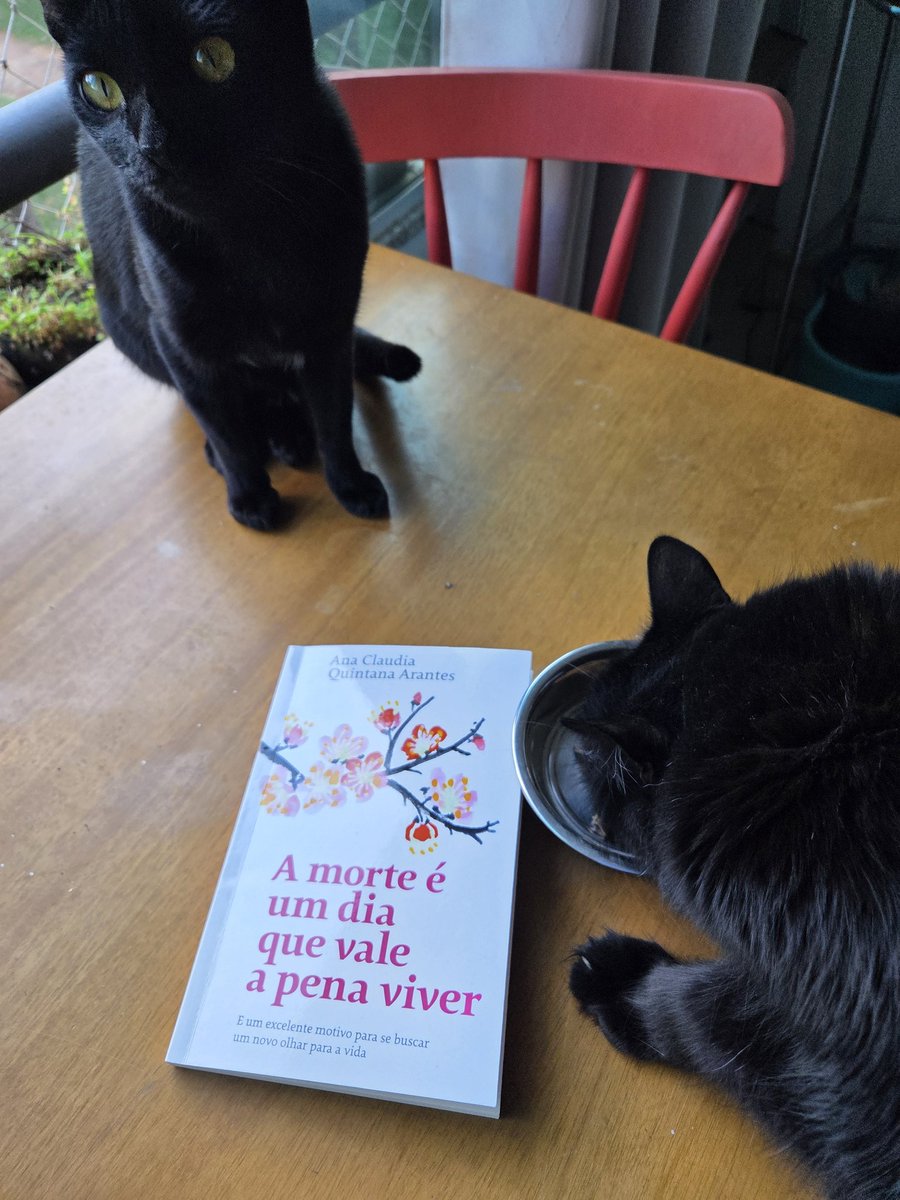 rodriguesfer's tweet photo. E com muita emoção que recebo da minha irmã o livro que tenho certeza que irá me ajudar.
Acompanhado das minhas donas, já que sou só o serumaninho delas! https://t.co/5CqN2v3VFK
