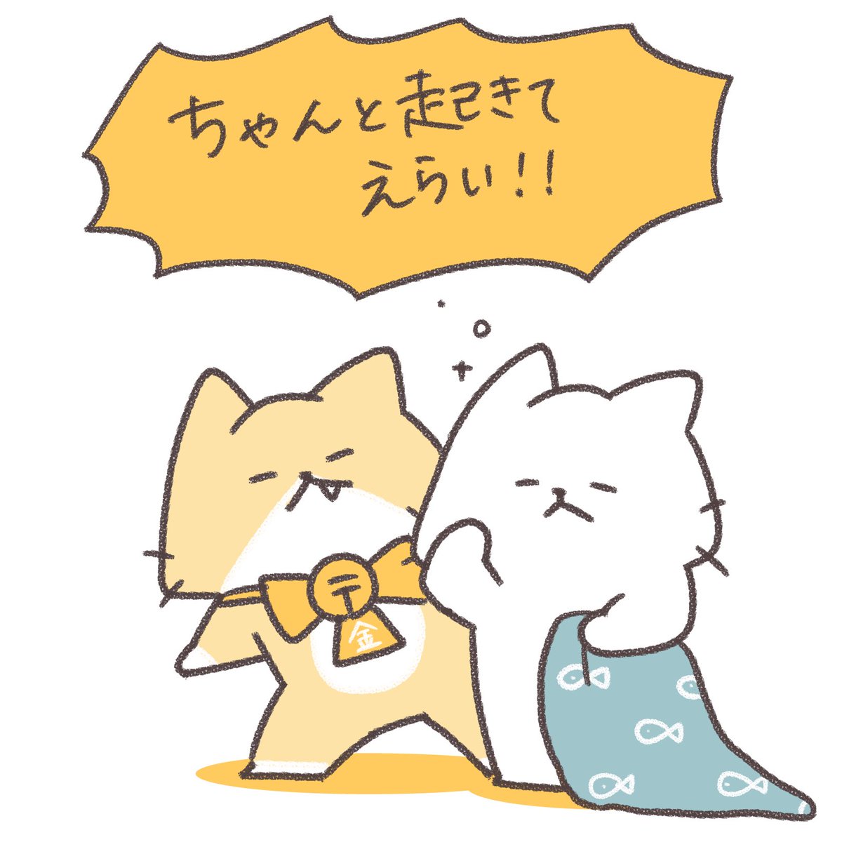 おはようございます🌟
