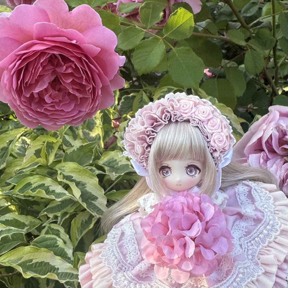 おはようございます( ˶˙ᵕ˙˶ )☀️ 職場でゴタゴタがありすぎて気付い