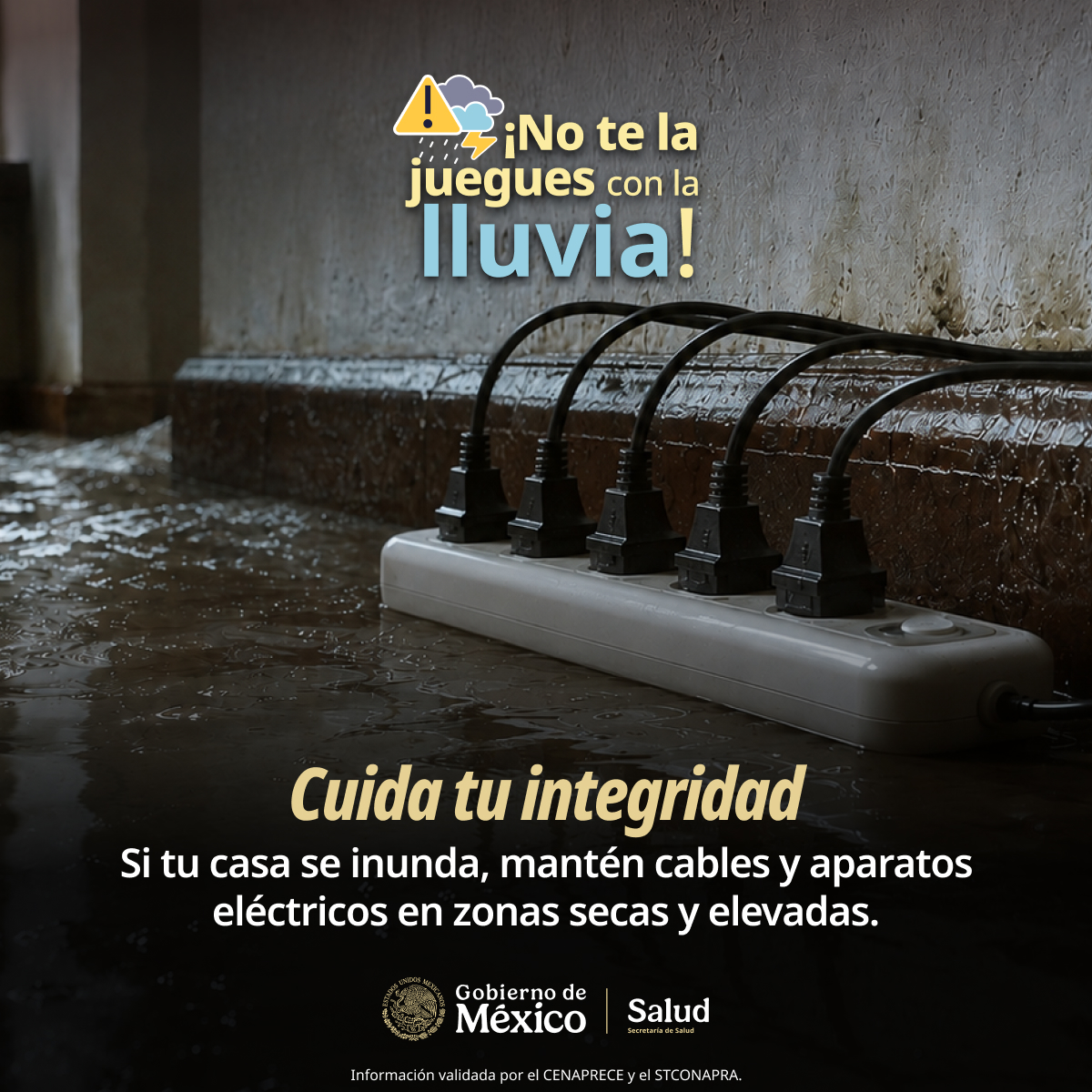SSalud_mx's tweet photo. 🔌✖️⚡ #NoTeLaJueguesConLaLluvia, el agua y la electricidad no son tus aliados.

⚠️ Durante esta temporada, mantén cables, multicontactos y aparatos eléctricos en zonas elevadas y secas. Si detectas encharcamientos o inundaciones en tu casa, evita manipular conexiones eléctricas si están cerca del agua. 🙅‍♀️