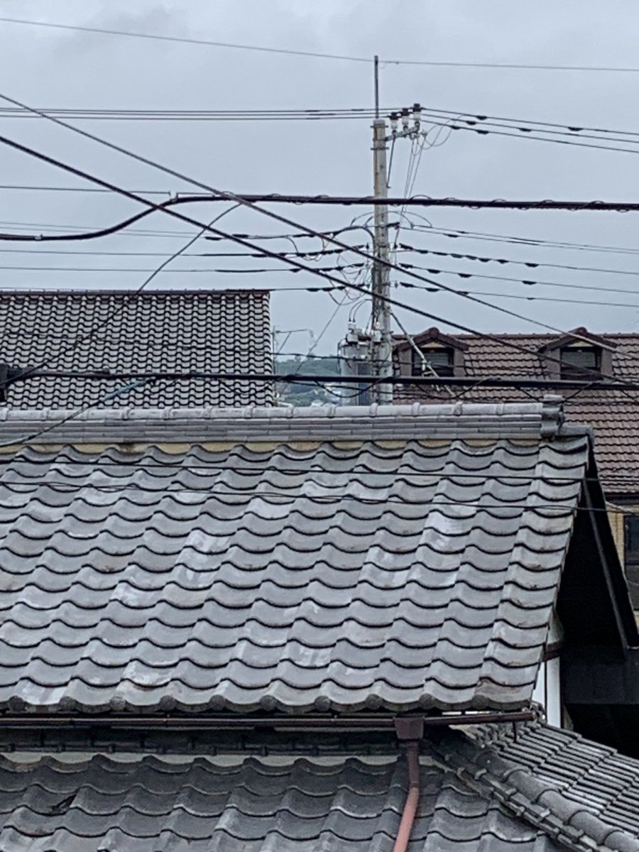 TarouKasu's tweet photo. おは観音🙏25日目 https://t.co/vZpvVfzbki
