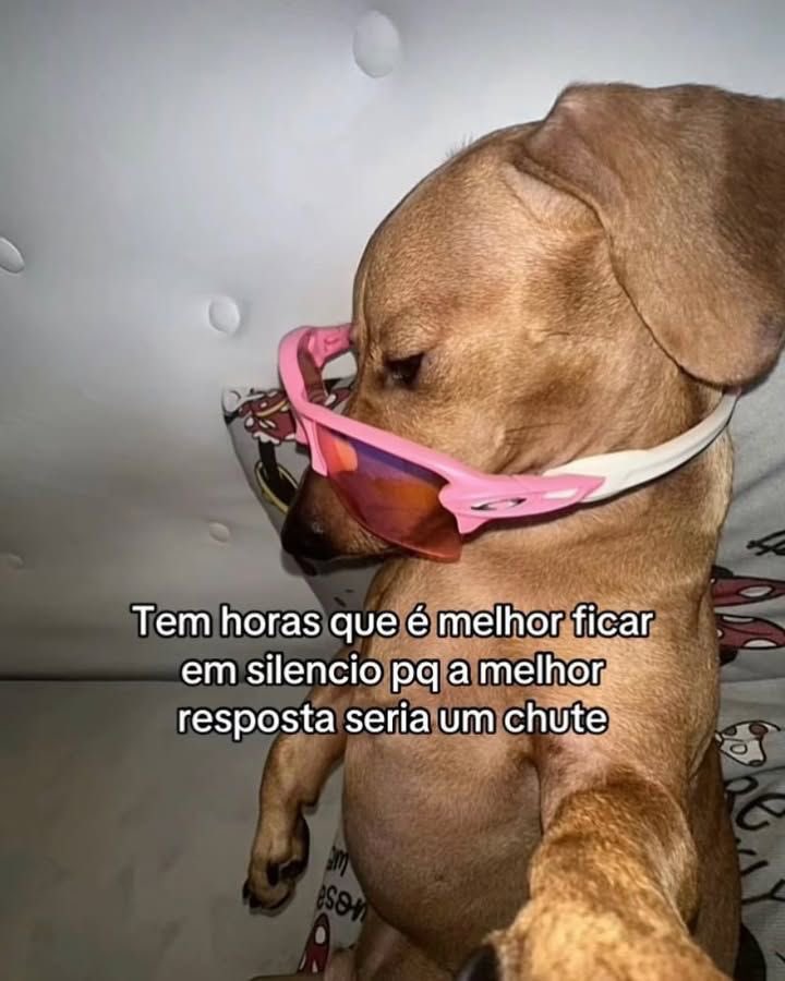 pietratuita's tweet photo. aiai é cada coisa https://t.co/Ygba6Fm8UM
