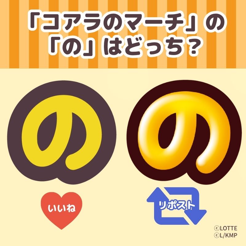 lotte_koalanomi tweet picture