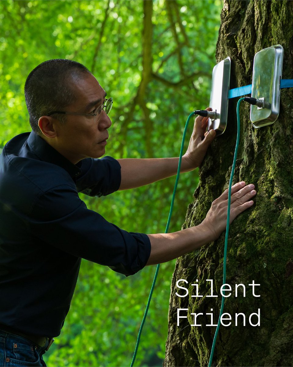 WFGCinematheque's tweet photo. Ildikó Enyedi’s Silent Friend, an epic, awe-inspiring exploration of the natural world, opens July 31. https://t.co/vJ5AEvYWLQ
