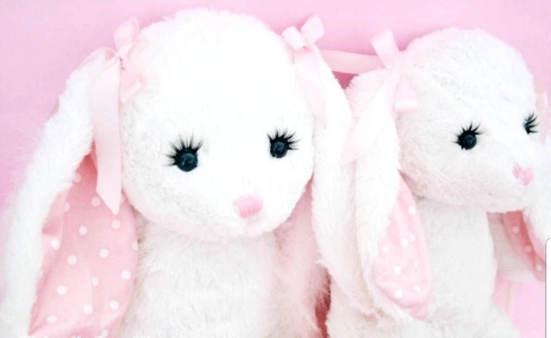 madeofcandyy's tweet photo. Plushies with lashes just make sense https://t.co/n0vdbcfHDd
