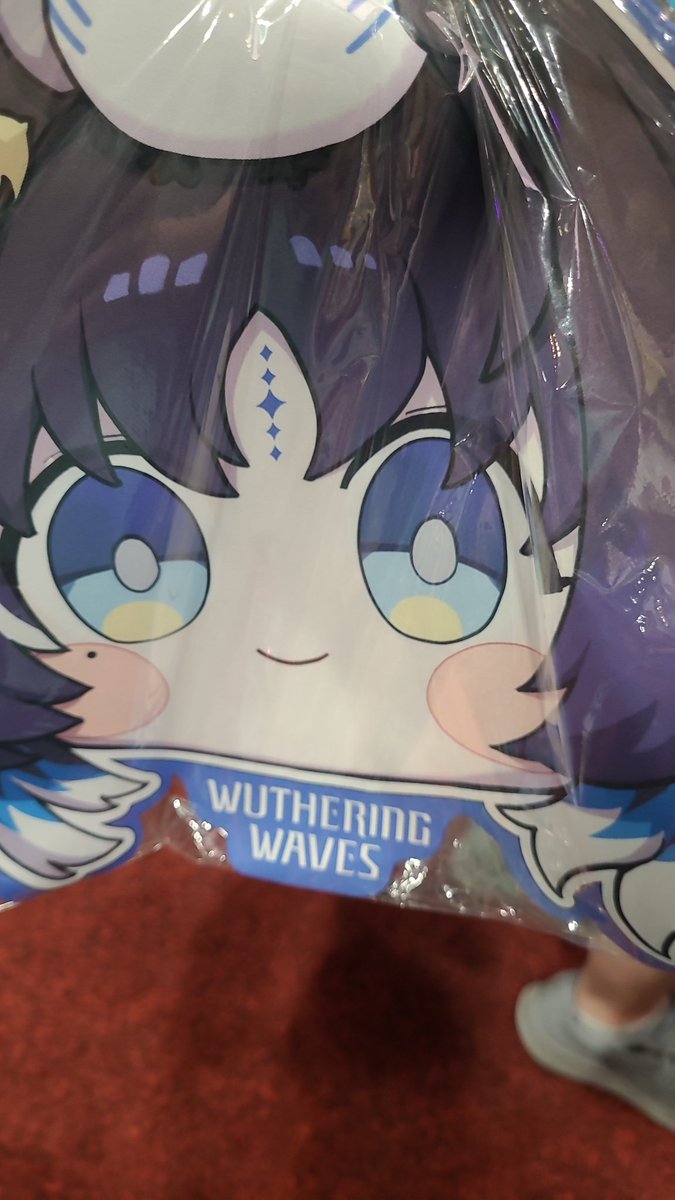 wiggles_aco's tweet photo. Won a yapyap with the power of all s6!
#WuWaAX2026 https://t.co/BEhZaG1FEv