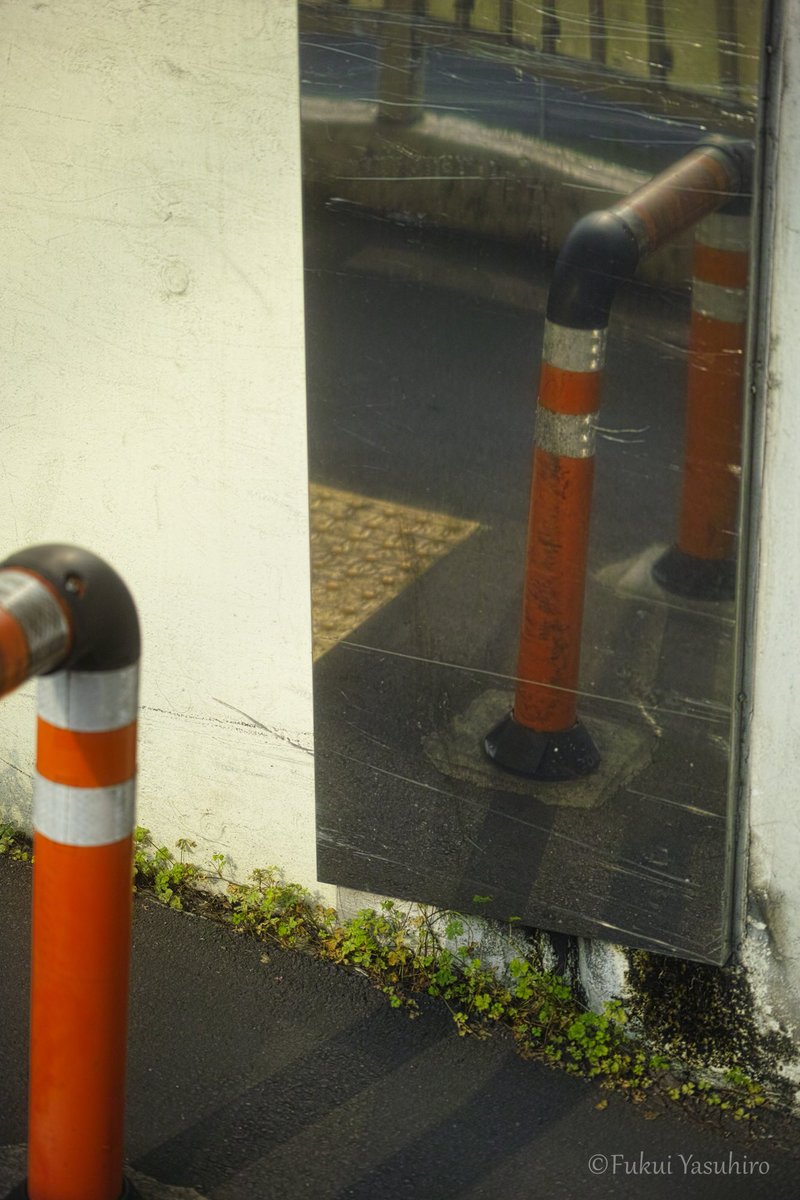 YasuhiroFukui2's tweet photo. 散歩
SIGMA dp3 merrill
#dp3m
#foveon
#SIGMA https://t.co/BYxDRRQTEn