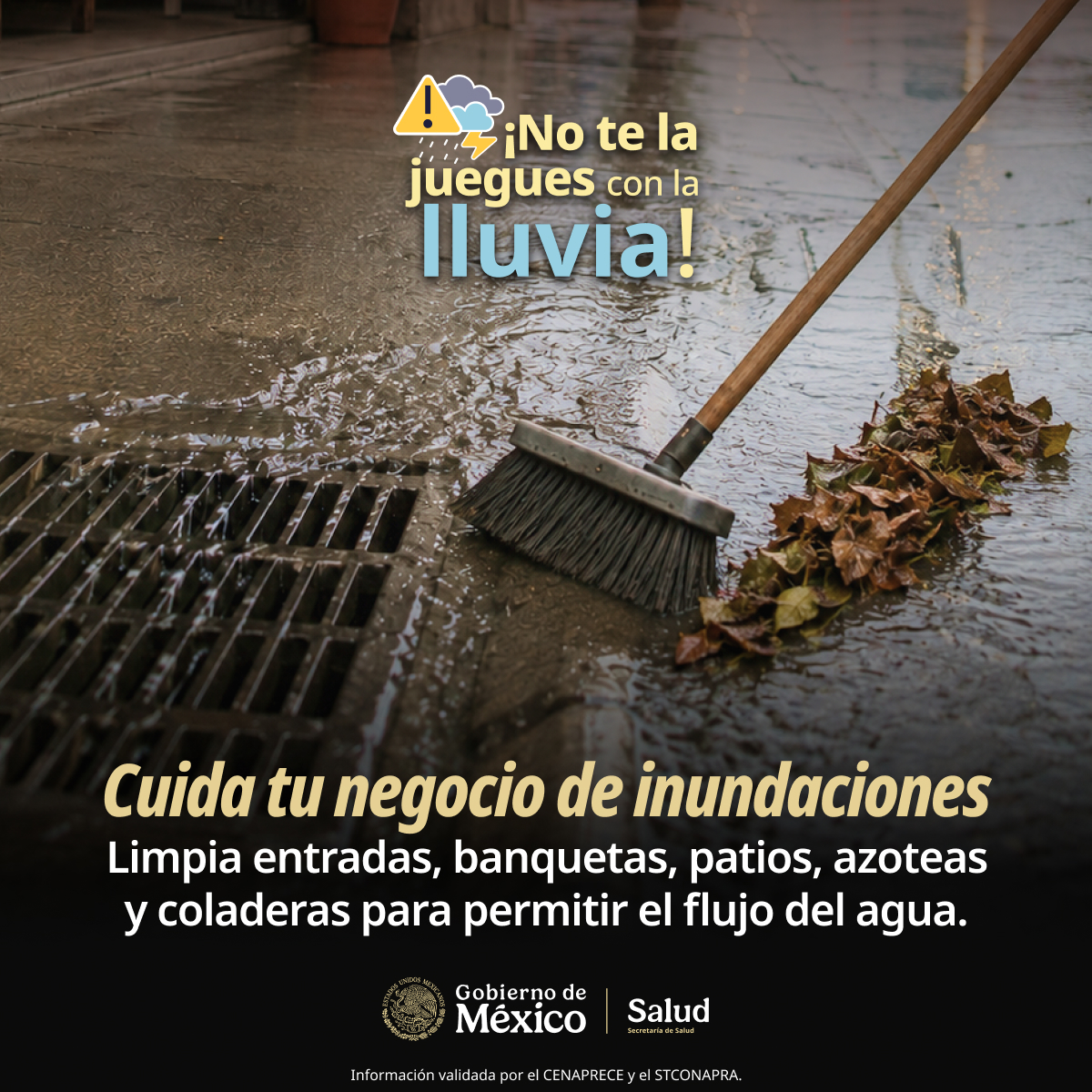 SSalud_mx's tweet photo. 🏪 La prevención también protege tu negocio. 😉

🧹 Mantén limpias entradas, banquetas, patios, azoteas y coladeras para evitar encharcamientos que puedan afectar tu patrimonio. ✨

#NoTeLaJueguesConLaLluvia 🌧️ https://t.co/Yso3ad0ooK