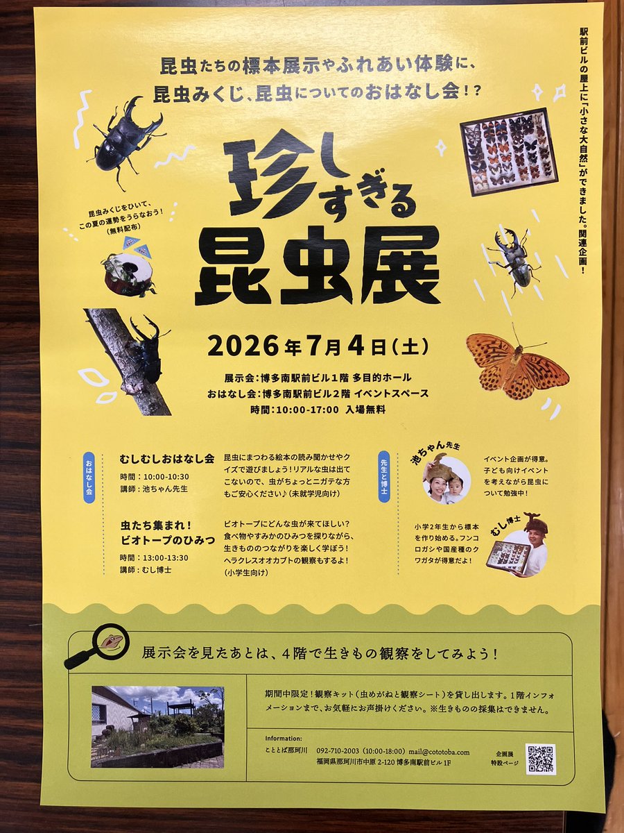明日(7月4日)こんなのある🪲✨
