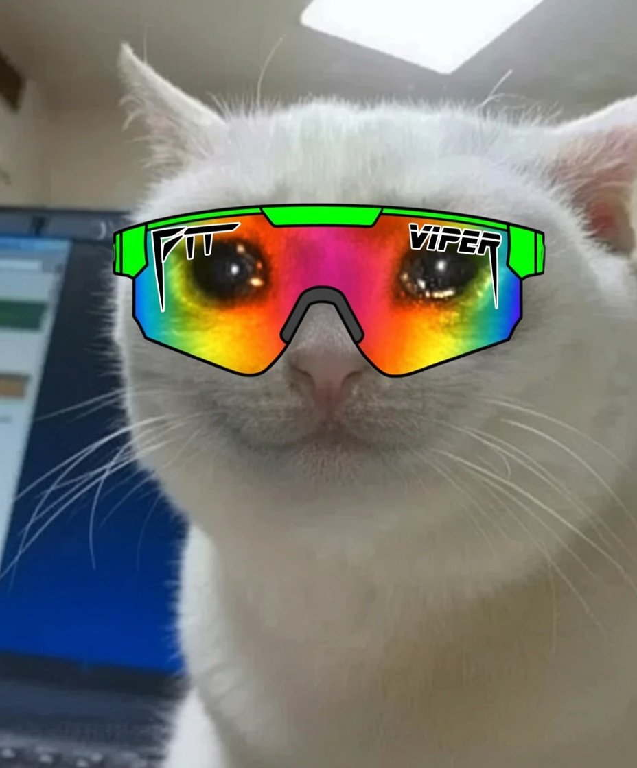 cryingcatsol_'s tweet photo. @Pattyice CRYING CATS RULES EVERYTHING AROUND ME 

F1t6c2fbMaSvpqSiUuntCKSWUQ8LycNSYEL6TmZpump https://t.co/D2gOa7t8BK