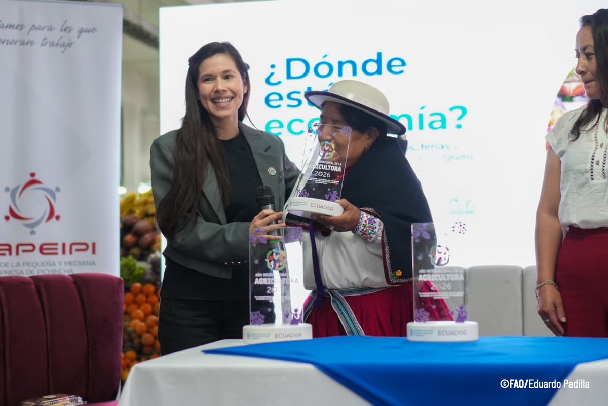 FAOEcuador's tweet photo. 👩‍🌾 En el espacio se pudo rendir reconocimiento a tres mujeres agricultoras: María Paulina Pisuña, María Juana Chuma y Fanny Aída Salazar.

Su trabajo y saberes ancestrales sostienen la alimentación de miles de familias.

¡Gracias por sembrar futuro! 💜 https://t.co/yZgLHQ3Ehe