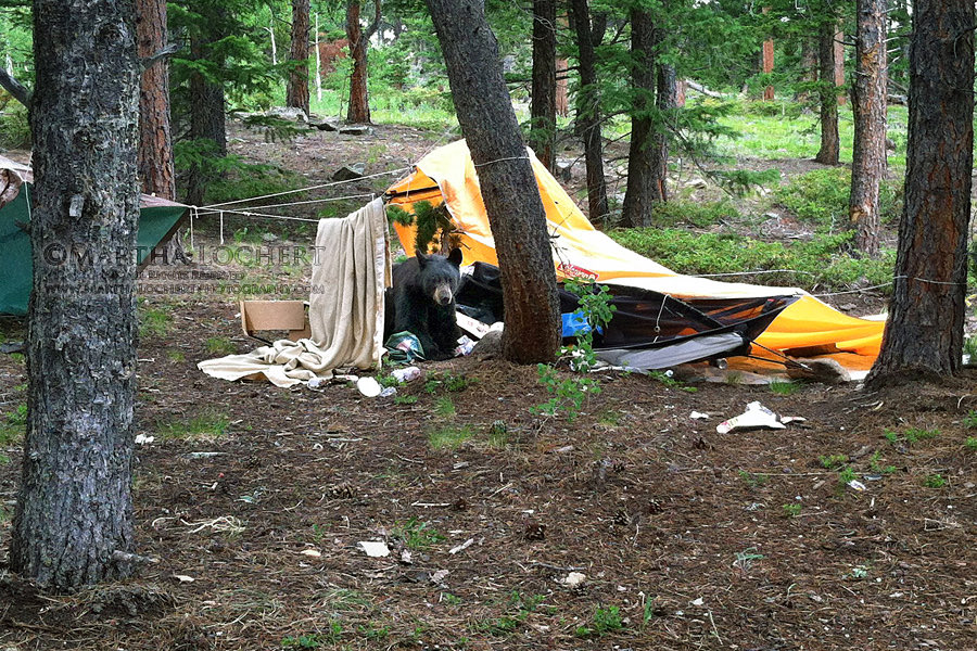 fawnworld's tweet photo. @fixonfan The camp https://t.co/Ms4w7vO70U
