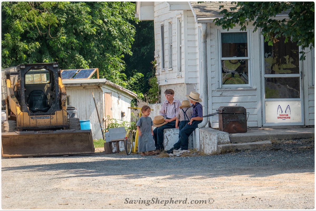SavingShepherd's tweet photo. Today's Truth
“After dinner rest a while; after supper walk a mile.”
#Amish #proverb
#balance #work #quoteoftheday #SavingShepherd #Amish #proverb #photooftheday #motivation #rest #exercise #inspiration #quotes #life #photography #country #farmlife #amishlife #travel #USA 🇺🇸 https://t.co/j6dZfPhvcU