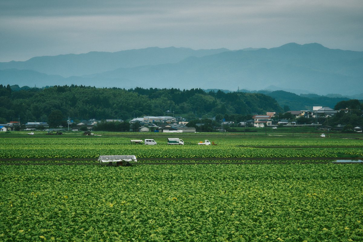 shintake_photo's tweet photo. Countryside scenes in Japan. https://t.co/lyIowBUwih