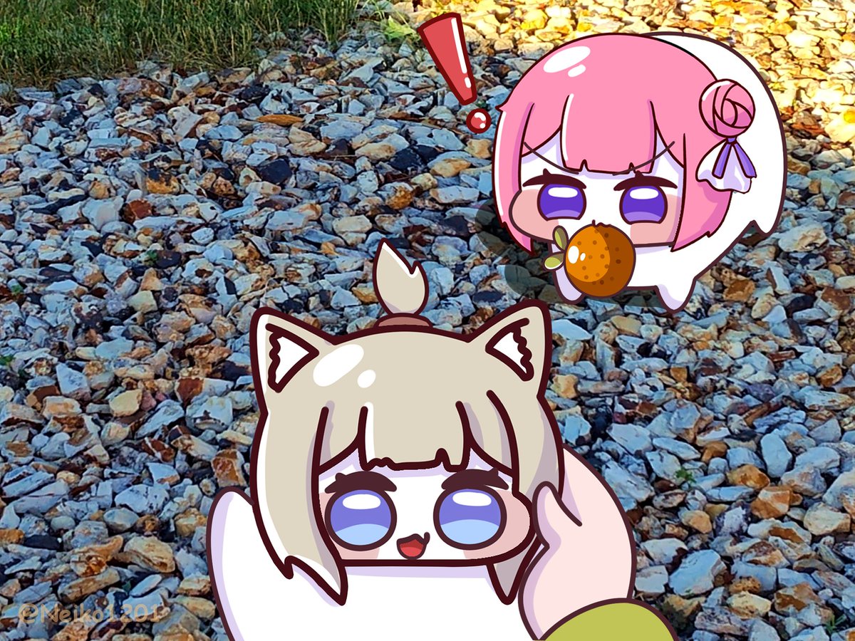 neiko1201's tweet photo. Wild Doro taken the oranges and Wild Pinnecat are now allowed to be petted! https://t.co/8ii3B5j2J5