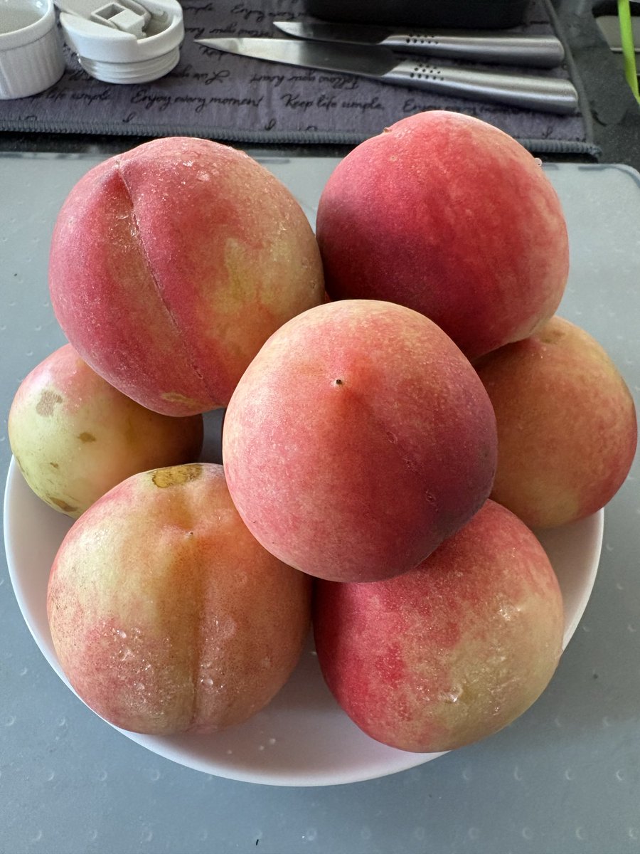 Noritama___ooO's tweet photo. お家の桃の木に
やっと実がなりました🍑✨️
初収穫‼️✨️
良い色になりました(≧∇≦)b
もう鳥に先越されて食べられた
(ﾉ∀`)ｱﾁｬｰ

#初収穫
#桃
#庭の木 https://t.co/P5LjcEqUR3