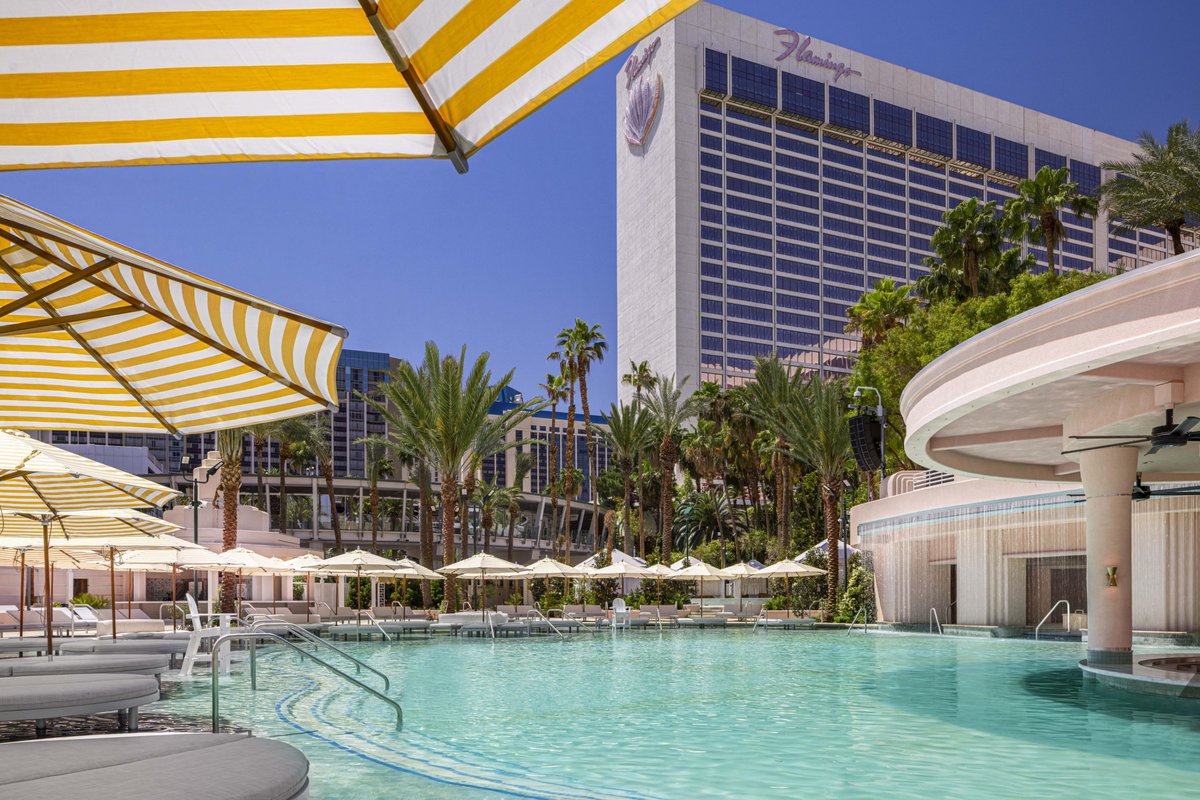 GoPackTravelBiz's tweet photo. 🎰 Vegas getaway! Sept. 10–13 ✈️ Nonstop from RDU on Southwest + 3 nights at The Flamingo for 2: $1,510. Stay center Strip with renovated rooms, a refreshed pool, and Monorail access. Any party size, dates, or departure airport can be quoted! 🌴#vegas #rdu #gopacktravel https://t.co/W9aW4uXa3Q