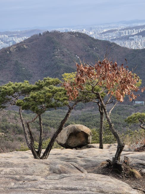 LouellaSimq4li's tweet photo. القلب لا يشيخ. السعيد lydia placha🤾 https://t.co/icUTWFqmLi