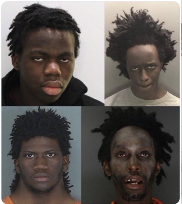 IPWNAGE_'s tweet photo. @Lawj2nx @ChaV215 @itsmine49 typical nigger, didn't even graduate HS LOOOOOL

your brothers?

#niggers #apes https://t.co/3QoMotbne3