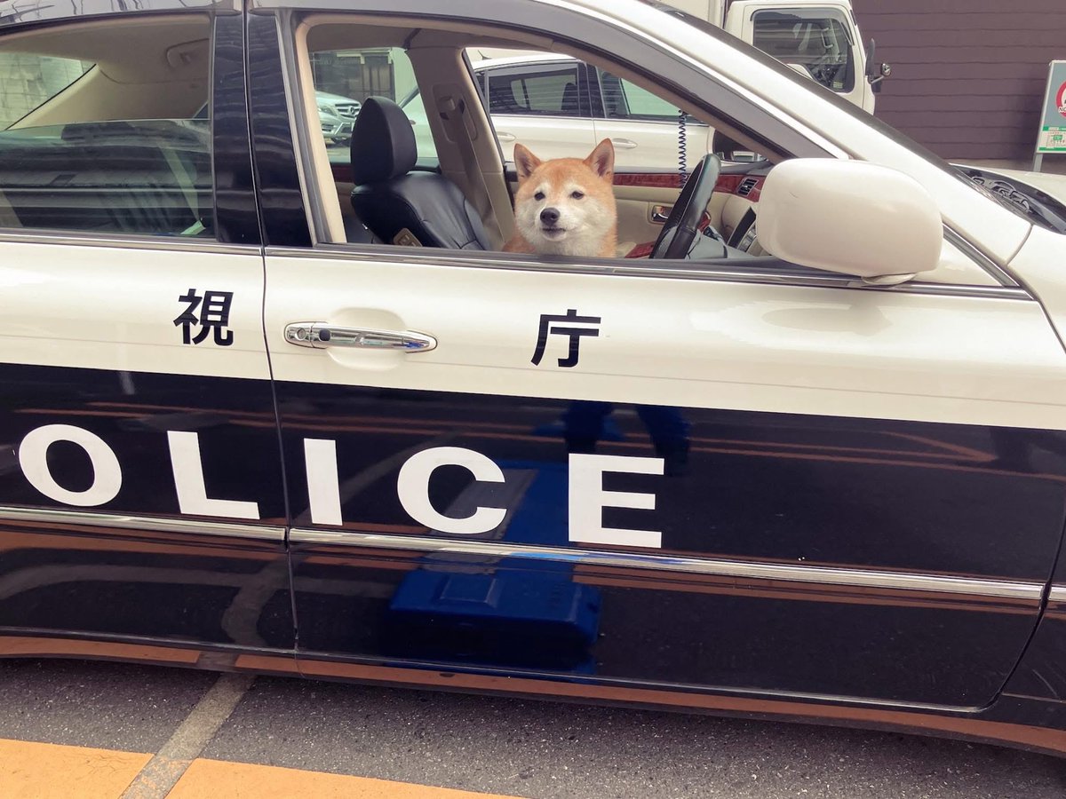 maruon22's tweet photo. 犬のお巡りさん https://t.co/fG7e8X9AJ9