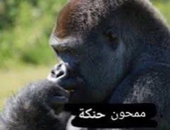 ᴀᴜɢᴜꜱᴛ tweet media